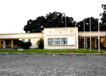 Facultad de Veterinaria de la UCV denuncia video deepfake de la decana para promover encuentro therian