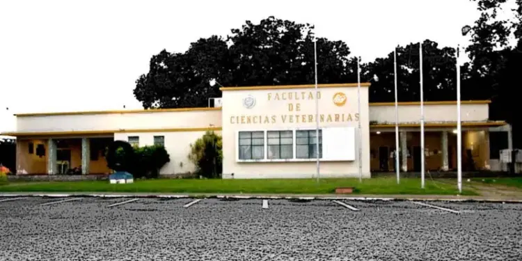 Facultad de Veterinaria de la UCV denuncia video deepfake de la decana para promover encuentro therian