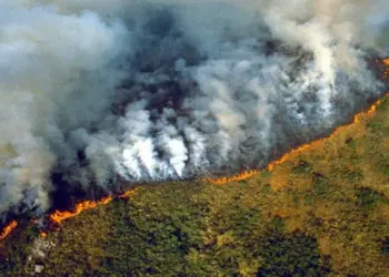 Inameh alerta riesgo «muy alto» de incendios forestales este fin de semana