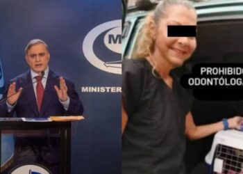 Imputaron a mujer que se viralizó tras polémico caso por la desaparición de varios gatos