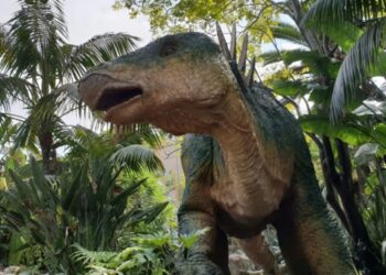 Descubren en la Amazonía de Perú una especie de planta de la época de los dinosaurios