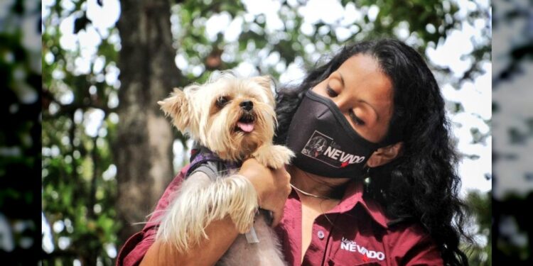 Misión Nevado supera las 800 atenciones veterinarias en Guaicaipuro durante 2026